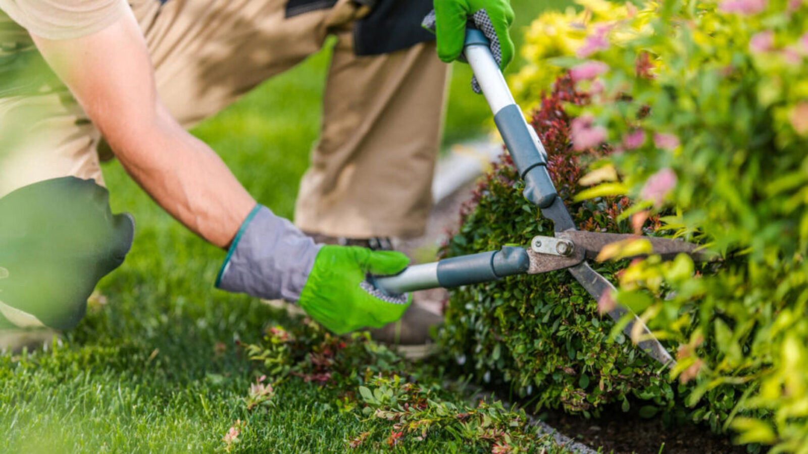 Jak przygotować ogród na sezon letni